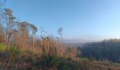 Trail Walking Hamoir - comblain la tour . hoyemont . oneux . comblain la tour - Photo 20