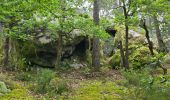 Tour Wandern Oncy-sur-École - Oncy-sur-École - Grotte aux Fées  - Photo 18