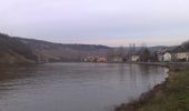 Tour Zu Fuß Grevenmacher - FB Grevenmacher I - Photo 3
