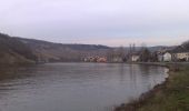 Tocht Te voet Grevenmacher - FB Grevenmacher I - Photo 3