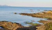 Excursión Senderismo Sainte-Maxime - Sainte Maxime La Nartelle - par les Sardinaux - Photo 10