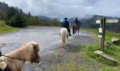 Trail Horseback riding Ban-de-Laveline - ACPL Ban de laveline yoigo  - Photo 5