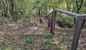 Tocht Stappen Chauffour-lès-Étréchy - Chauffour-lès-Etréchy - Coteau des Verts Galants - Photo 10