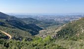 Trail Walking Allauch - La Paloire Rando Tamalous - Photo 2