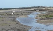 Tour Mountainbike La Trinité-sur-Mer - Trinité Sur Mer et la presqu'ile de Quiberon - Photo 6