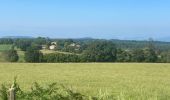 Tour Wandern Échandelys - Panorama en Livradois-Forez  - Photo 8