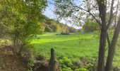 Tour Wandern Lüttich - Jupille Terril du Hasard 23,2 km - Photo 7