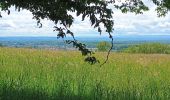 Tour Wandern Sentheim - Randonnée Pentecôte 2024 - Photo 10