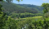 Trail Walking Lac de la Haute-Sûre - 2022-09-22_13h02m46_t62746125_eislek pad bavigne (1) - Photo 8