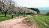 Tour Zu Fuß Kelbra (Kyffhäuser) - Königspfalz Tilleda -Udersleben - Photo 6