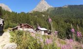 Excursión Senderismo Vallorcine - le Buet,cascade berrard,Loriaz ,Vallorcine - Photo 13