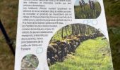 Trail Walking Aulon - J10-Aulon fait - Photo 12