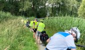 Randonnée Vélo électrique Wachtebeke - Sterretrappers gefietst Wachtebeke  - Photo 4