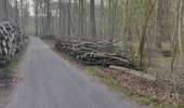 Percorso Marcia Watermael-Boitsfort - Watermaal-Bosvoorde - promenade matinale a boisfort - Photo 2