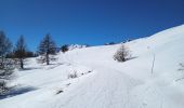 Tour Skiwanderen Puy-Saint-Pierre - Puy St pierre le prorel  - Photo 9