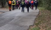 Tour Wandern Flassans-sur-Issole - Flassans sur issole - lac de redon - Photo 4