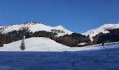 Percorso Racchette da neve Samoëns - Les Rutines - Photo 2