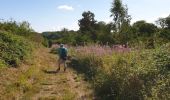 Trail Walking Havelange - De Havelange à Saint Fontaine par le village de Ossogne - Photo 2