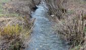 Tocht Te voet Brohl - Eifelhöhen und Brohlbachtal - Photo 4