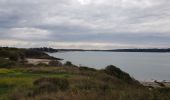 Tocht Stappen Saint-Jacut-de-la-Mer - rando pointe de ST JACUT 22 - Photo 2