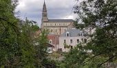 Trail Walking Candé-sur-Beuvron - Randonnée au départ de Candé sur Beuvron - Photo 2