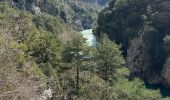 Trail Walking La Palud-sur-Verdon - Sentier Blanc Martel - Photo 20