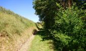 Trail Walking Avon-les-Roches - Avon-les-Roches - Au pays des lavoirs - circuit court - 10.9km 130m 2h35 - 2019 06 01 - Photo 5