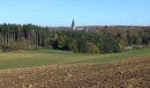 Tour Wandern Anhée - Adeps Sosoye-Maredret 12-11-2022 - Photo 1