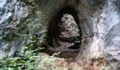 Tour Zu Fuß Gemeinde Schrattenbach - Schrattenbach - Ruine Schrattenstein - Flatzer Anger - Photo 4