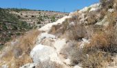 Randonnée Trail ביתר עילית - Husan WHP - Photo 18