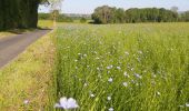 Tour Wandern Mutrécy - Mutrecy - Photo 3