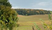 Tour Wandern Tervuren - #221017 - Duisburg, Wolfkensberg, Raffelberg - Photo 3