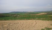 Excursión Senderismo Los Arcos - Camino Francés - Etp7 - Los Arcos - Logroño - Photo 6