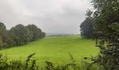 Tour Wandern Esneux - esneux eglise . hony . mery . crevecoeur . avionpuits . fontin . le fy . eglise - Photo 6