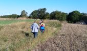 Randonnée Marche Andenne - balade Seilles - Photo 5