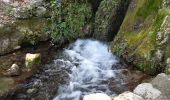 Trail Walking Gémenos - parc st pons - Photo 3