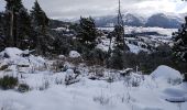 Tocht Sneeuwschoenen Font-Romeu-Odeillo-Via - llobens 2021  - Photo 4