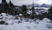 Tour Schneeschuhwandern Font-Romeu-Odeillo-Via - llobens 2021  - Photo 4