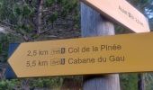 Trail Walking Auzet - AUZET. COL DE LA PINEE . LE MARZENC . N . O L - Photo 15