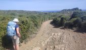 Trail Walking es Mercadal - Port Addaia to Es Grau - Photo 15