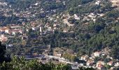 Tour Wandern Ollioules - Château  Vallon  - Photo 3