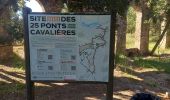Percorso Marcia Roquebrune-sur-Argens - Circuit de l'eau - Photo 3