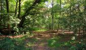 Randonnée Marche Choisy-au-Bac - en forêt de Laigue_5_09_2019_Mont Moyen_Queue du Bois_Plates Noues - Photo 12