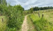 Tocht Stappen Vloesberg - Flobecq 12,2 km - Photo 6