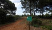 Trail On foot Beaurecueil - Sentier Imoucha - Photo 5