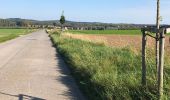 Randonnée Vélo de route Heers - Monumentenroute Heers (PVDB) - Photo 15