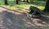 Percorso Marcia Brain-sur-Allonnes - BALADE BRUN SUR ALLONE DANS LA FORÃT  - Photo 2