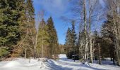 Tour Schneeschuhwandern Presles - le faz la lunette patente - Photo 3