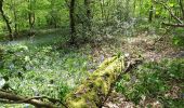 Excursión A pie Touffreville - Les Coteaux de Fouillebroc - Photo 5