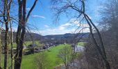 Trail Walking Bertrix - rando auby sur semois 14-03-2024 - Photo 18